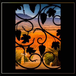 Grappe en noir