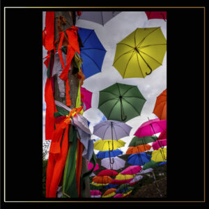 Parapluies colorés