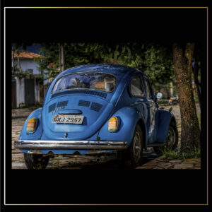 Coccinelle bleue
