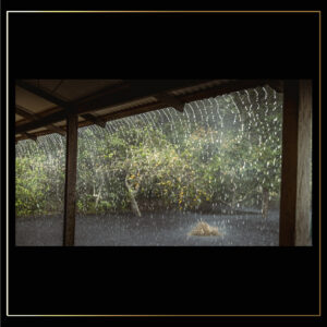 Pluie d'Amazonie