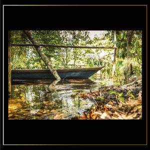 Barque à la berge
