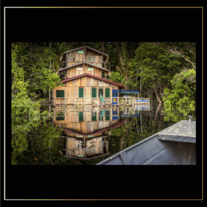 Reflet sur Amazone