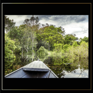 À travers l'Amazone