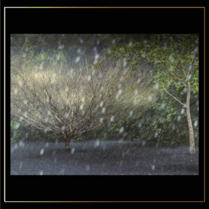 Derrière la pluie