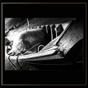 Barque en N&B