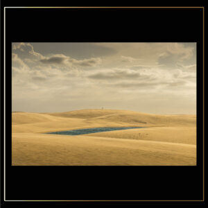Au milieu des dunes