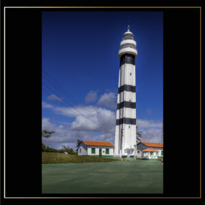 Allée vers le phare 