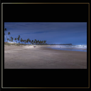 Plage de cocotiers