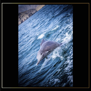 Sortie d'eau