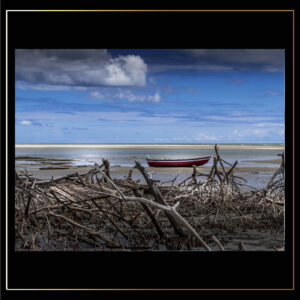 Bateau & bois flotté