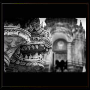 Protecteur