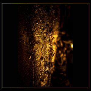 Feuille d'or