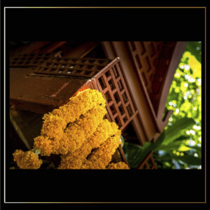 Colliers floral