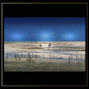 Voiles de kite