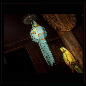 Ara et lampion