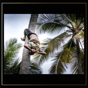 Acrobatie