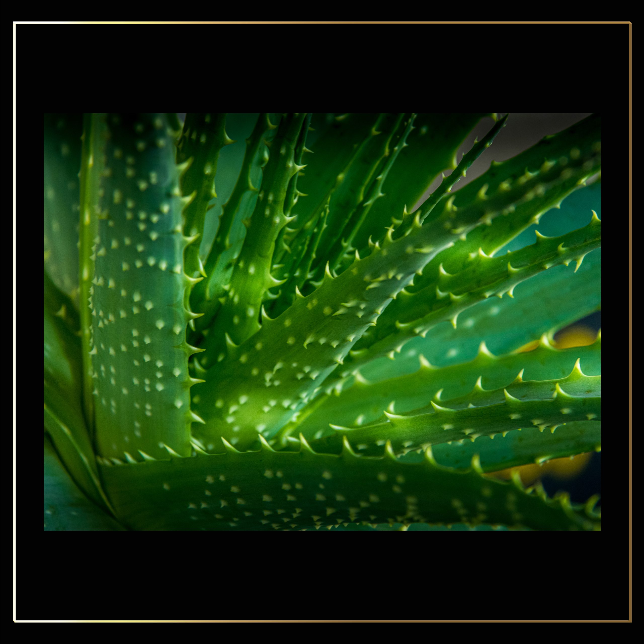 Mexique_1
