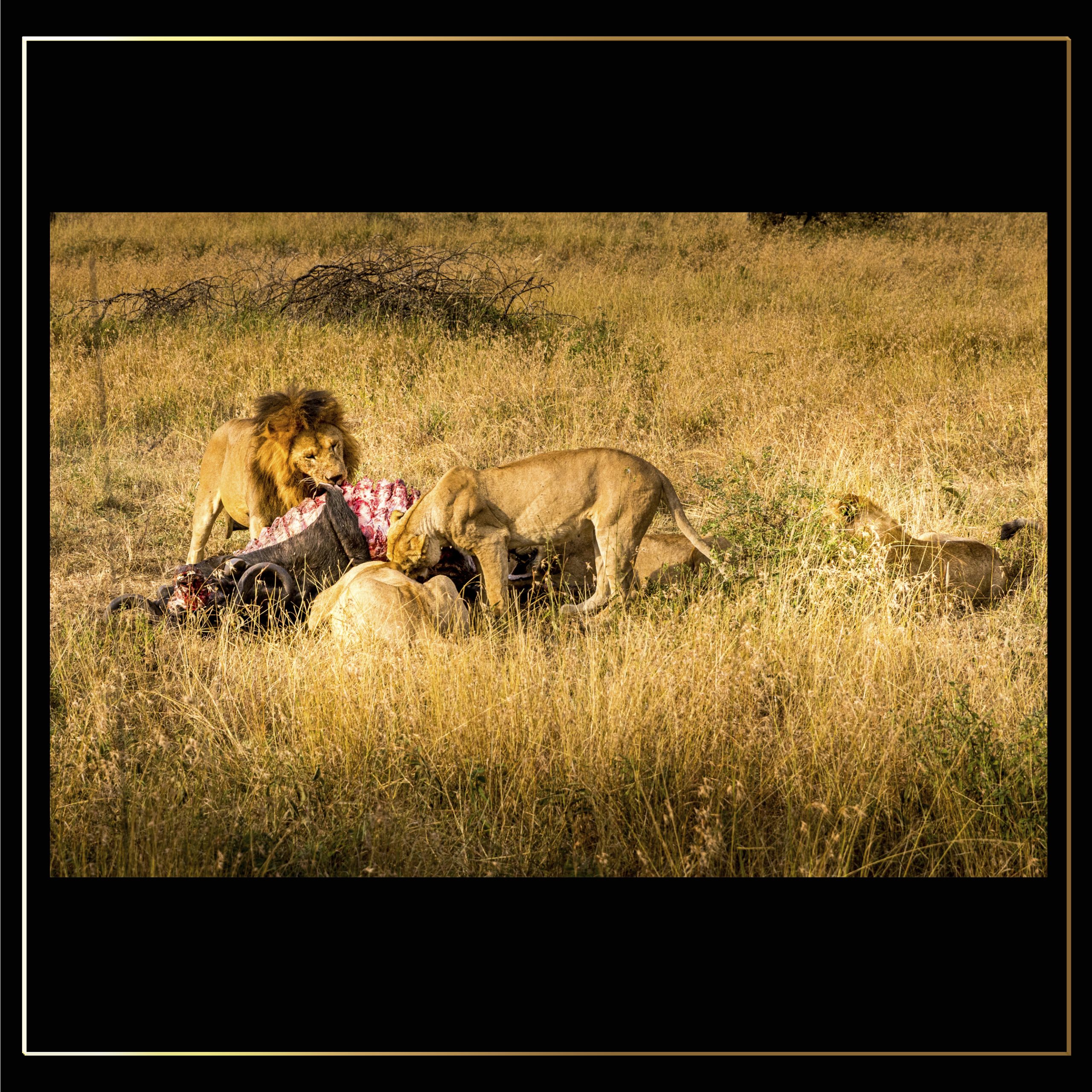 Tanzanie_1